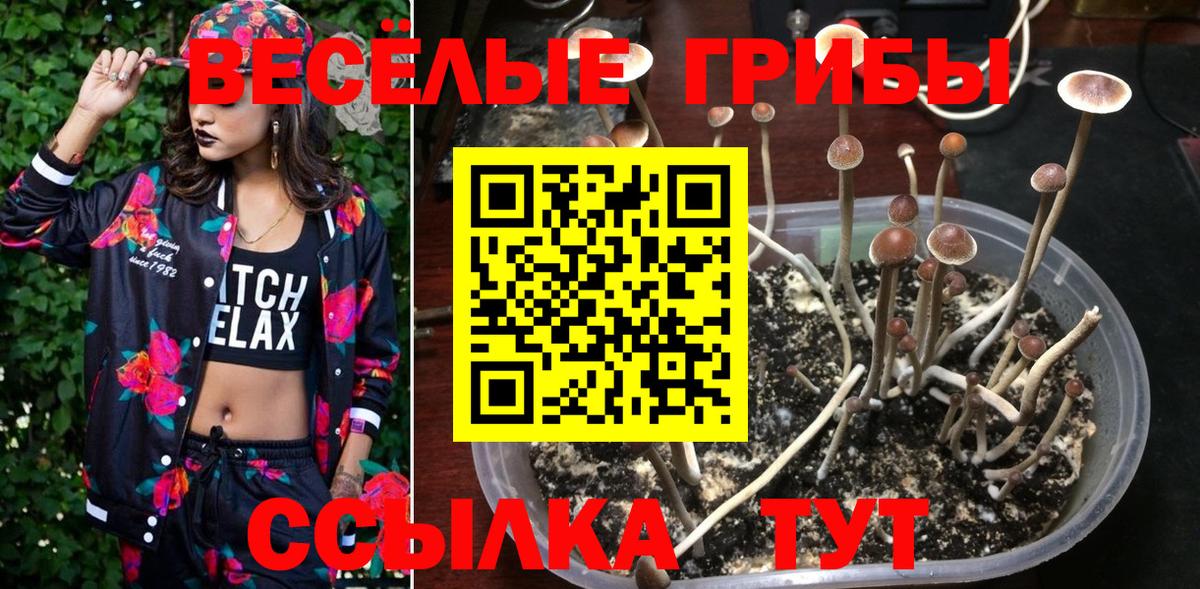 Унеча  Галлюциногенные грибы MAGIC MUSHROOMS  Вход с VPN 