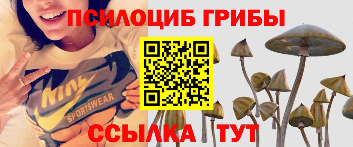 Псилоцибиновые грибы Psilocybine cubensis Унеча